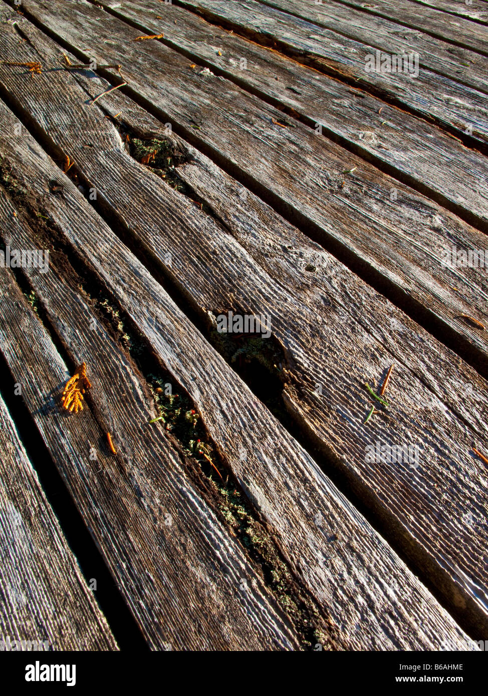 Weathered cedar planks on dock Stock Photo