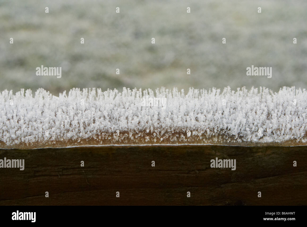 Heavy frost on a wooden fence Stock Photo