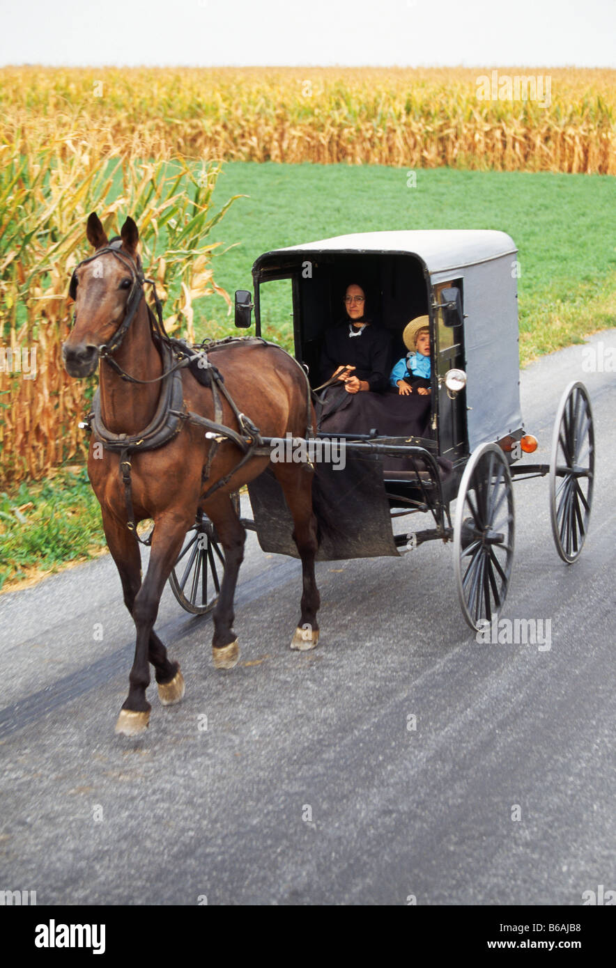 Amish horse drawn buggy on a rural road, Lancaster County, Pennsylvania