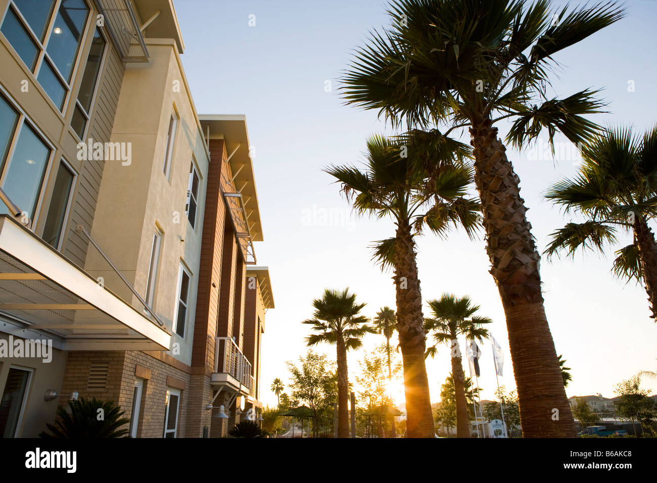 Sun setting through palm trees outside of contemporary loft style homes Stock Photo