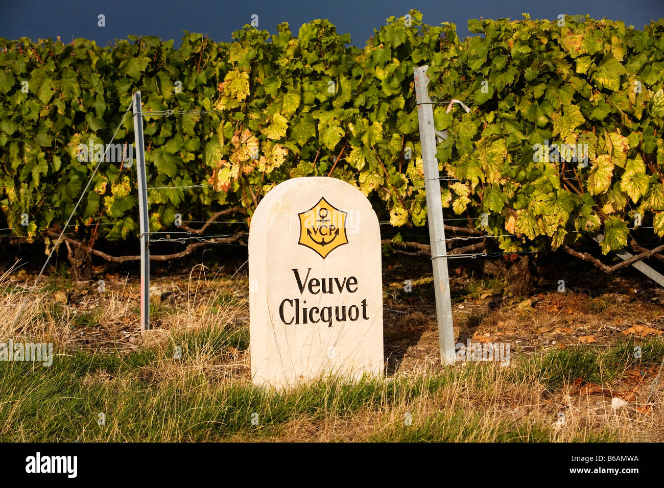 Sign of the Veuve Clicquot Champagne winery in the vineyards near