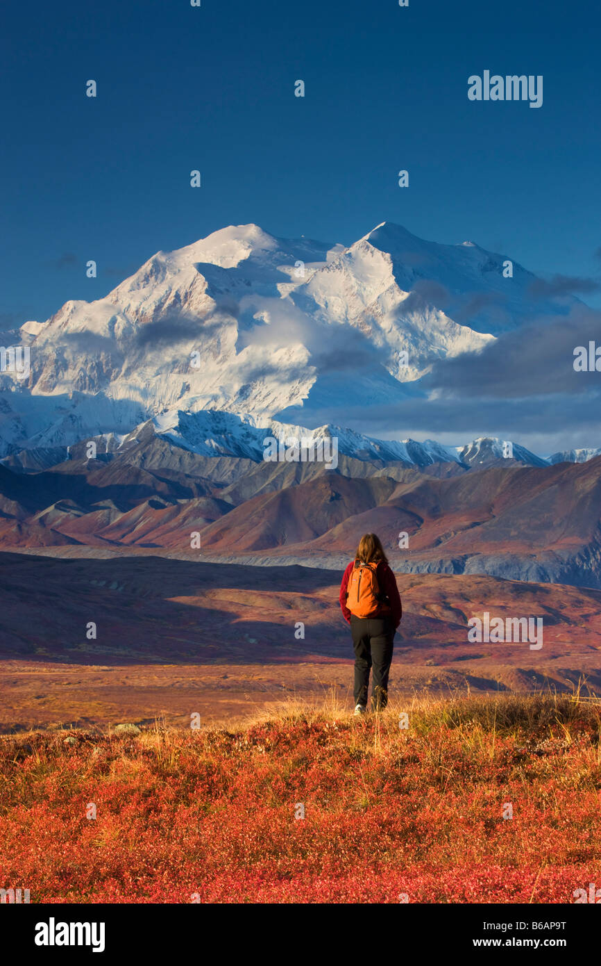 A hiker enjoying the view of Mt McKinley Denali National Park Alaska model released Stock Photo