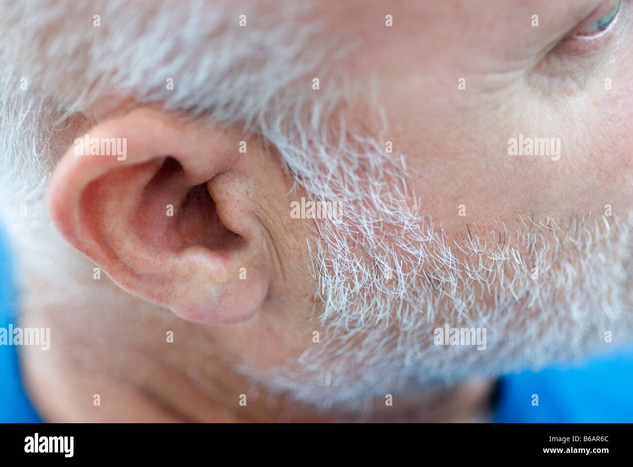 Close-up of mature mans ear Stock Photo