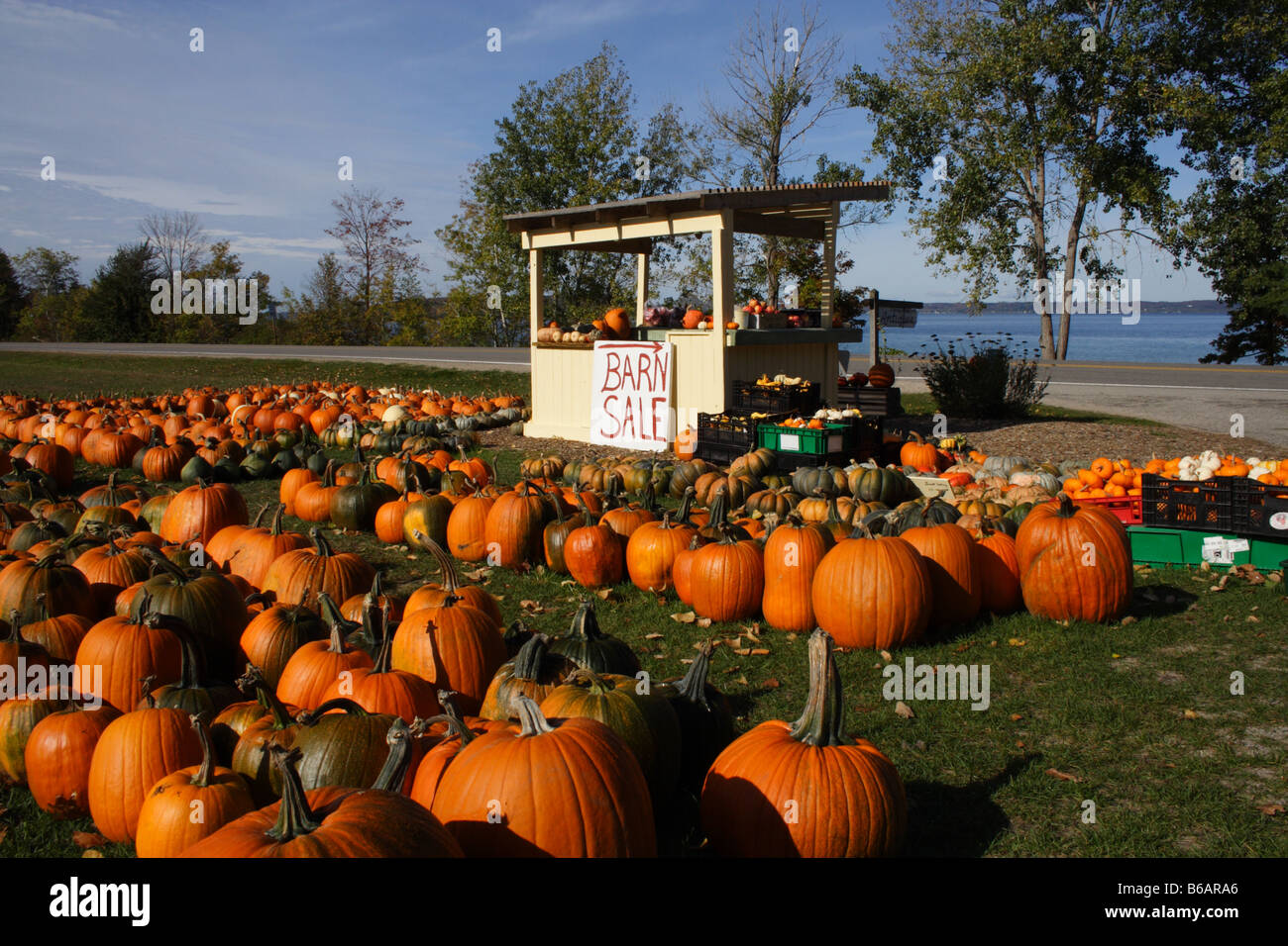 A roadside pumpkin stand in northern Michigan Stock Photo