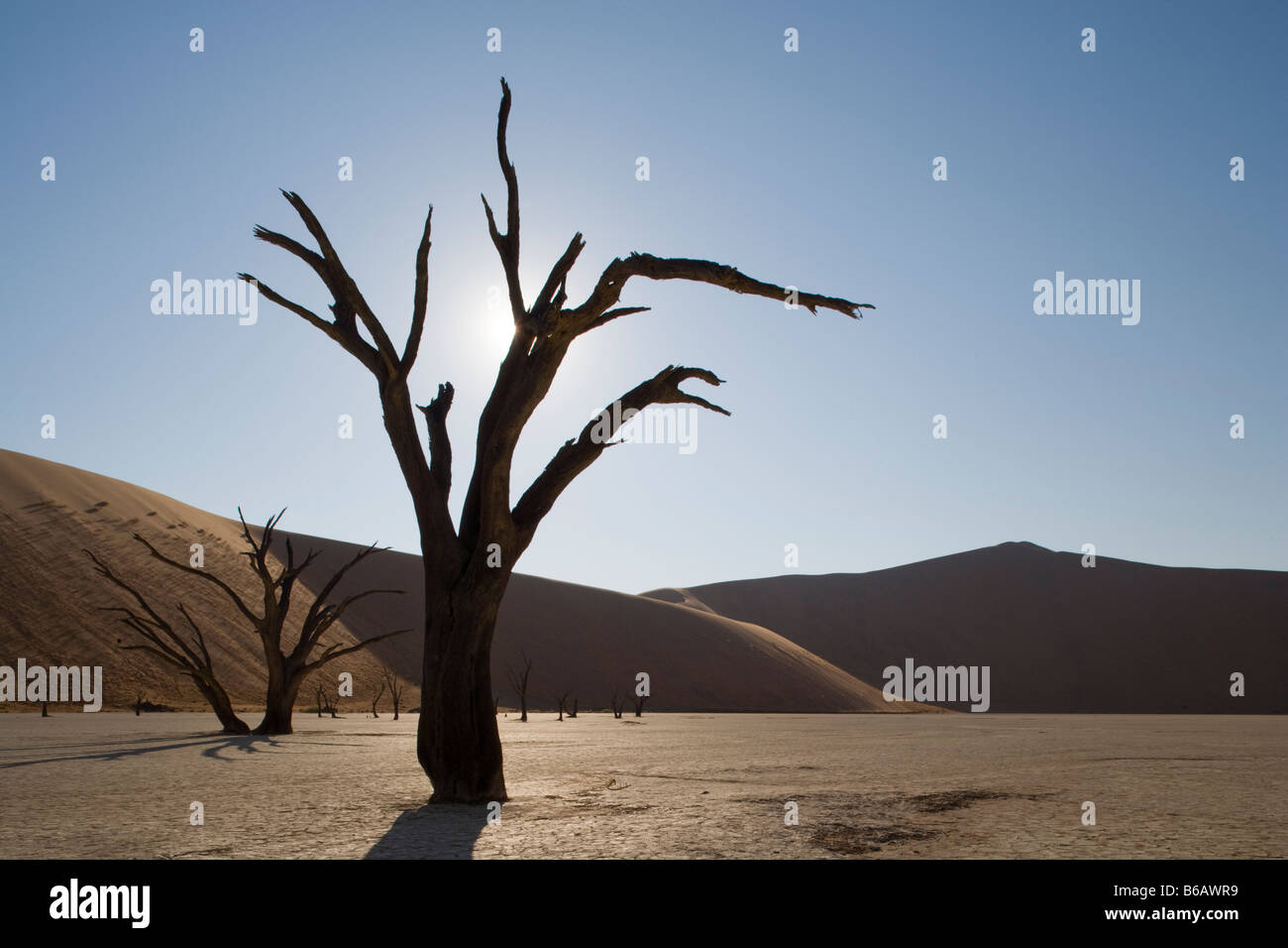 Africa Namibia Namib Naukluft National Park Morning sun lights ...