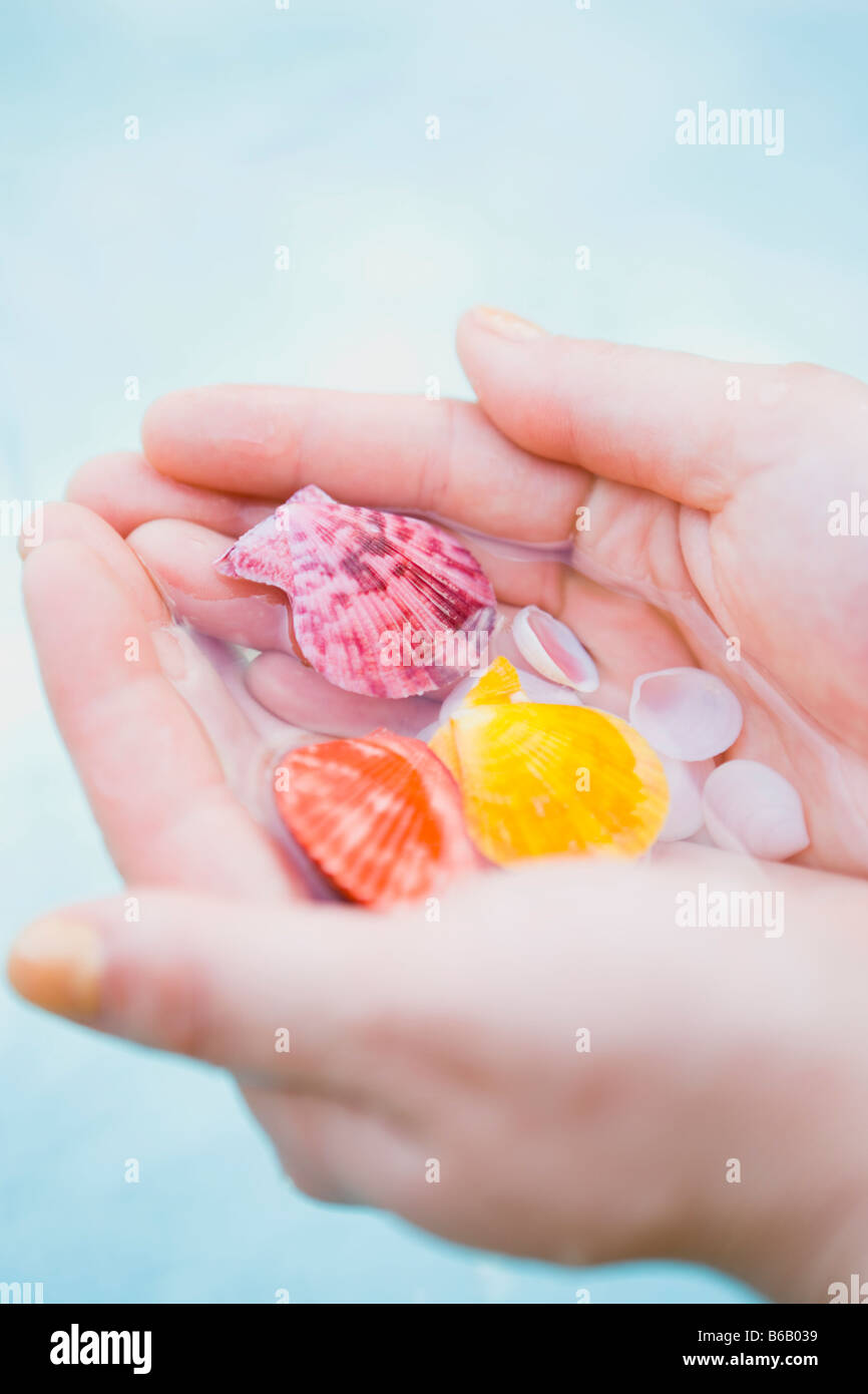 Hand of a woman holding starfish Stock Photo