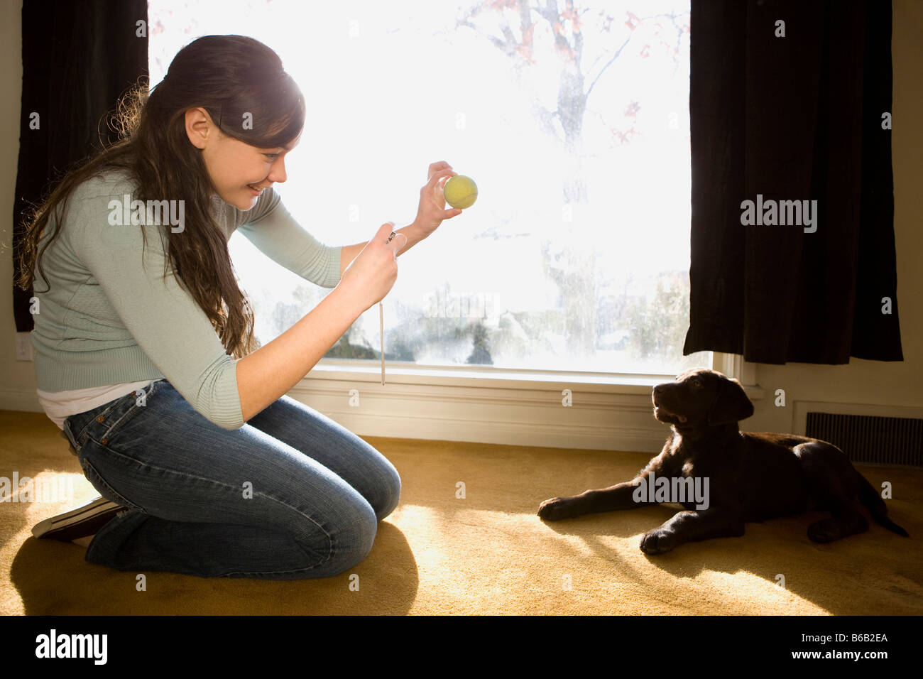 woman playing with dog in living room Stock Photo