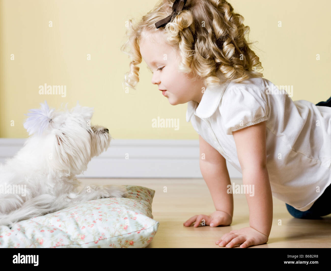 little girl with dog Stock Photo - Alamy