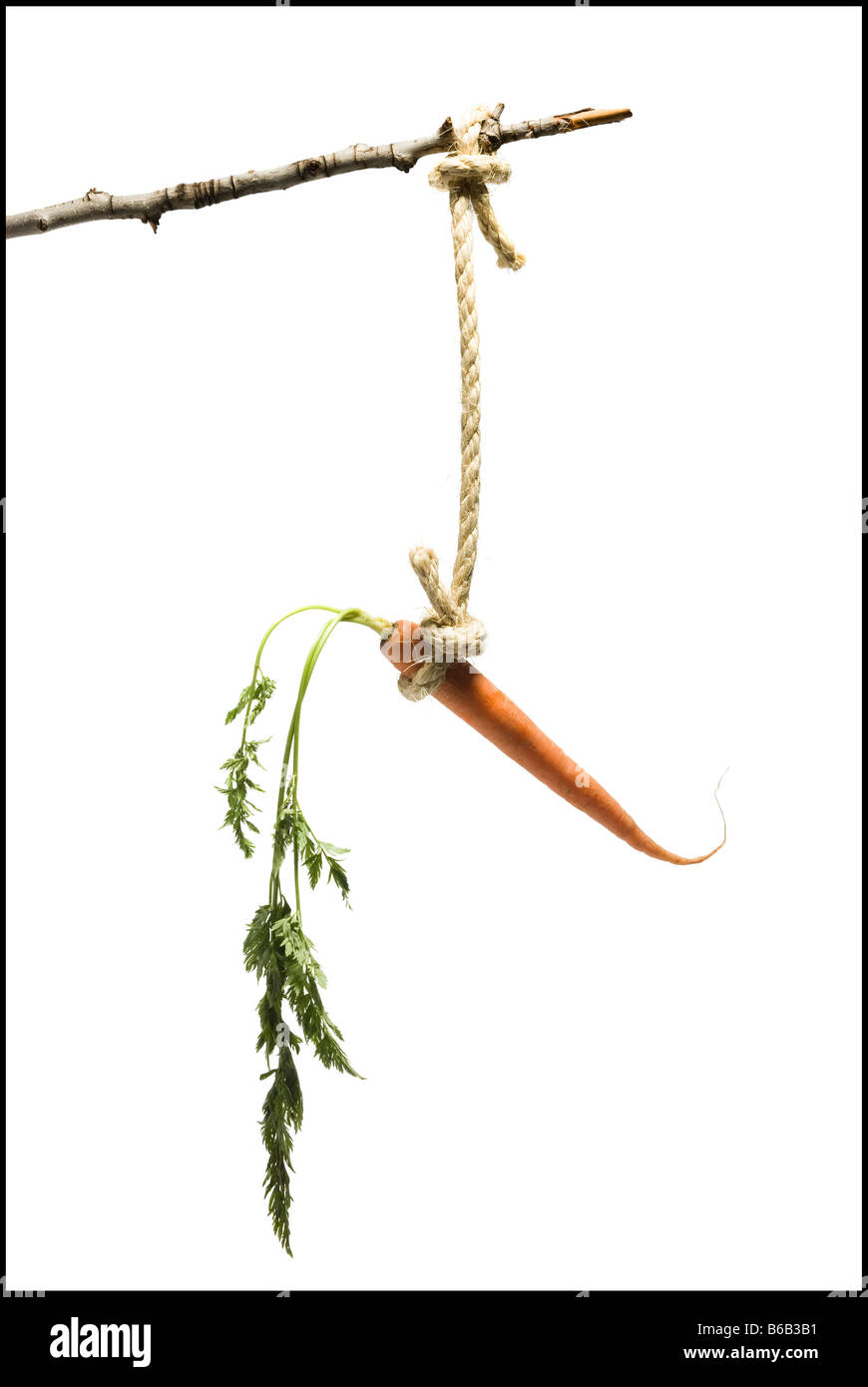 Carrot stick hires stock photography and images Alamy