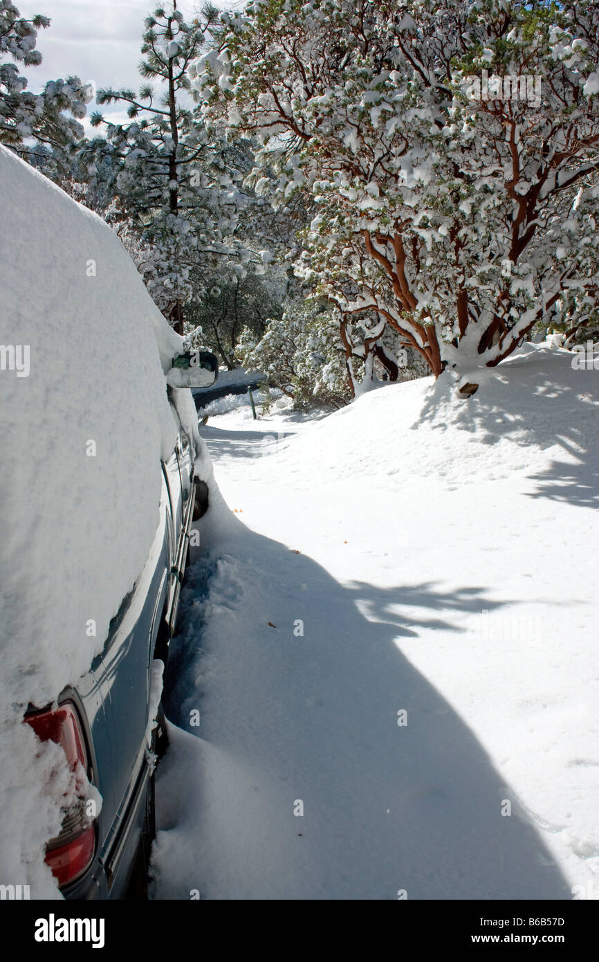 Early snow fall in Idyllwild California San Jacinto Mountain range