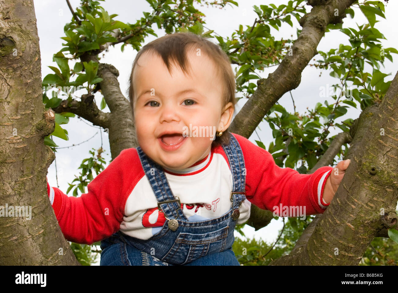 Little girl 13 months on tree Stock Photo