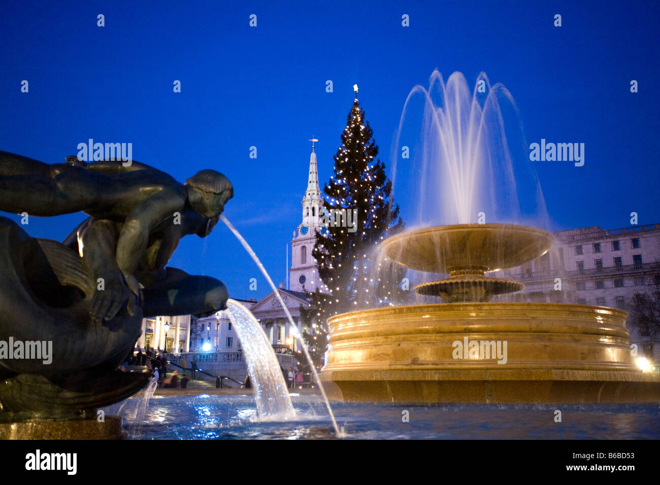 The Fountains and The Christmas Tree at Trafalgar Square in London Stock Photo