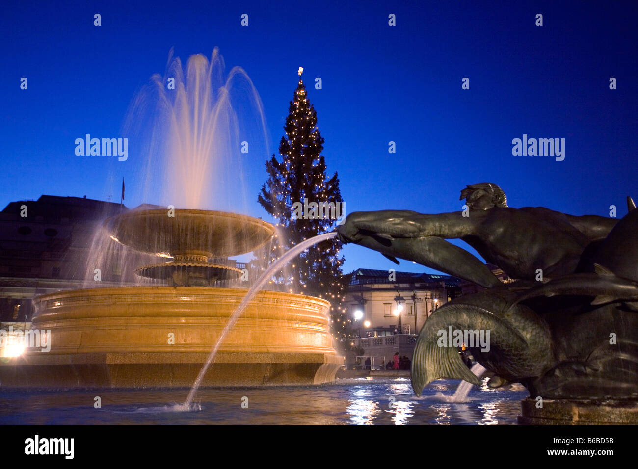 The Fountains and The Christmas Tree at Trafalgar Square in London which is a gift from Norway each year. Stock Photo
