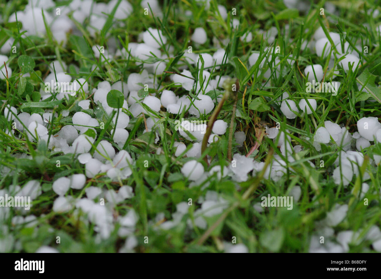 Hail white hi-res stock photography and images - Alamy