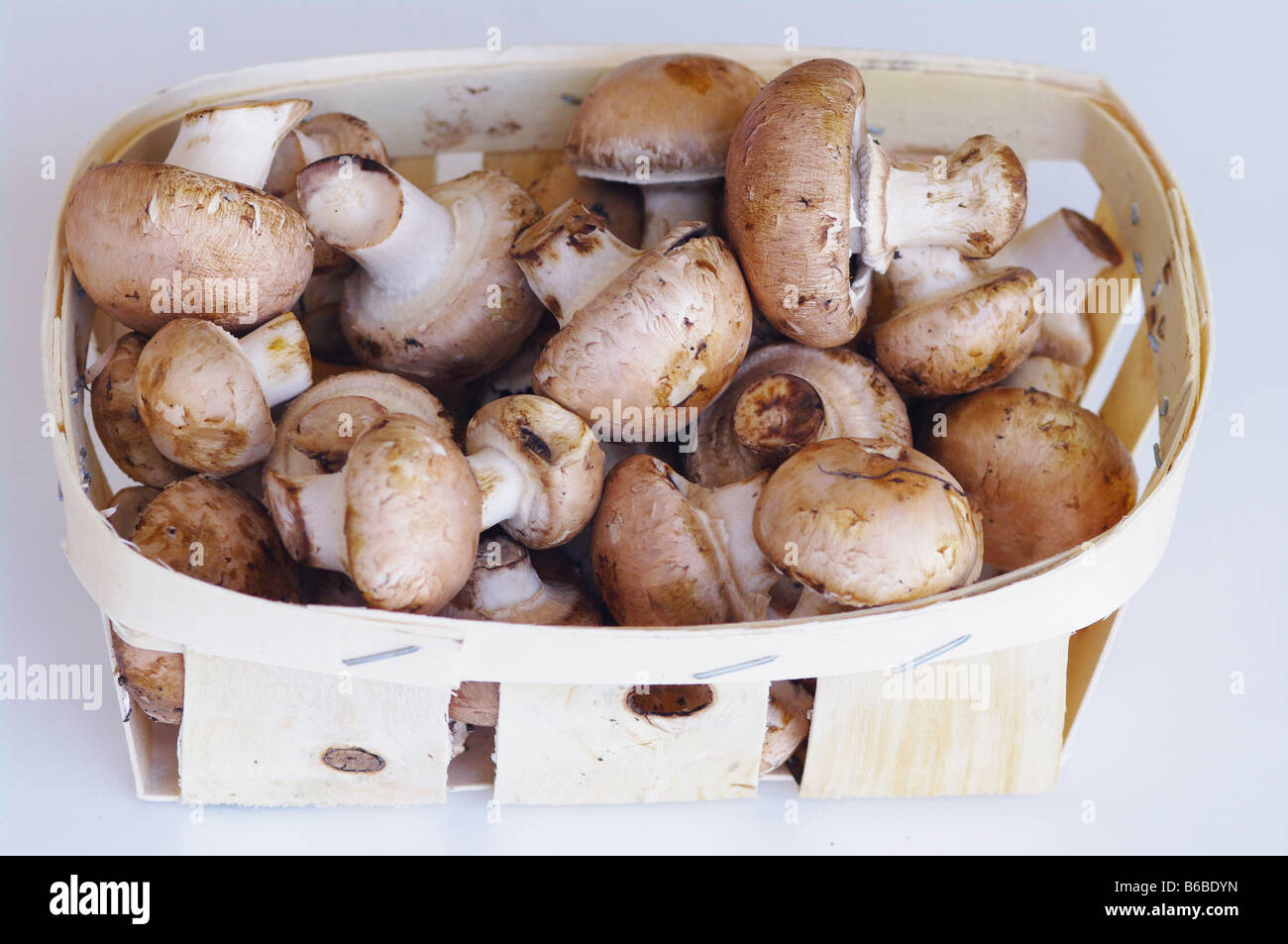 Button mushroom hires stock photography and images Alamy