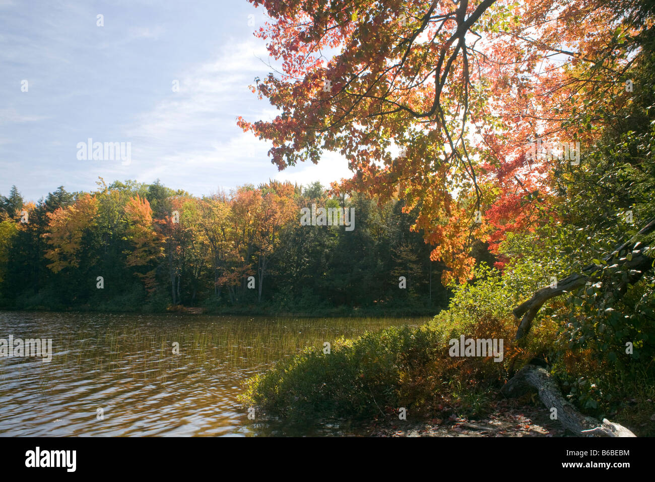 MICHIGAN Fall color along the shores of Mirror Lake in Porcupine