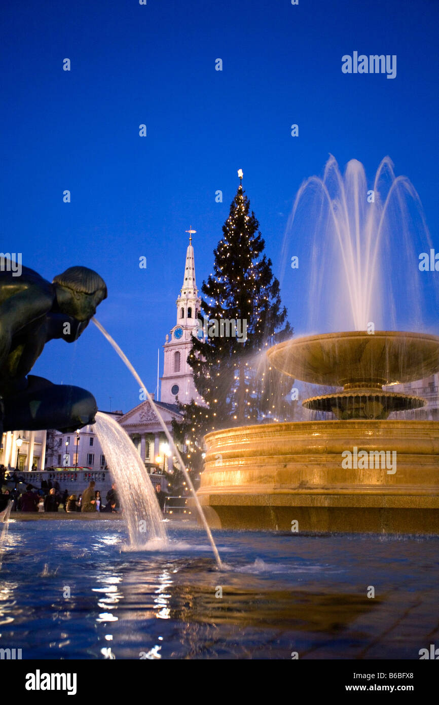 The Fountains and The Christmas Tree at Trafalgar Square in London Stock Photo