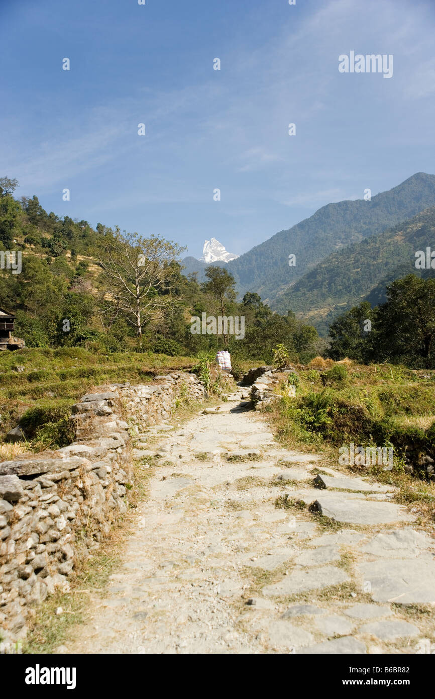 Fishtail Mountain and footpath trekking in the Modi River valley towards Ghandruk village in the Annapurna range ,Himalayas Stock Photo