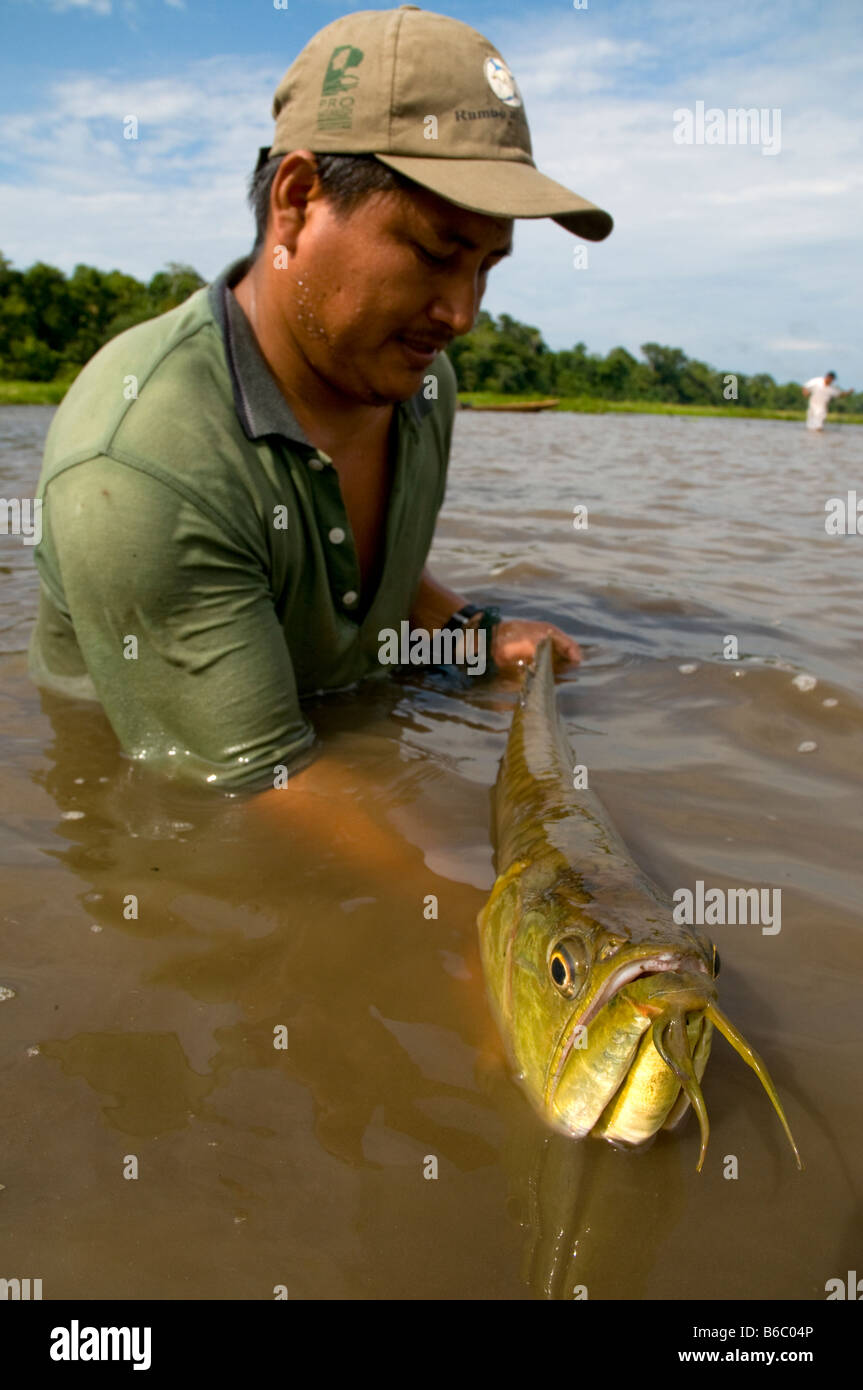 Arahuana Pacaya samirai national reserve hi-res stock photography and images - Alamy