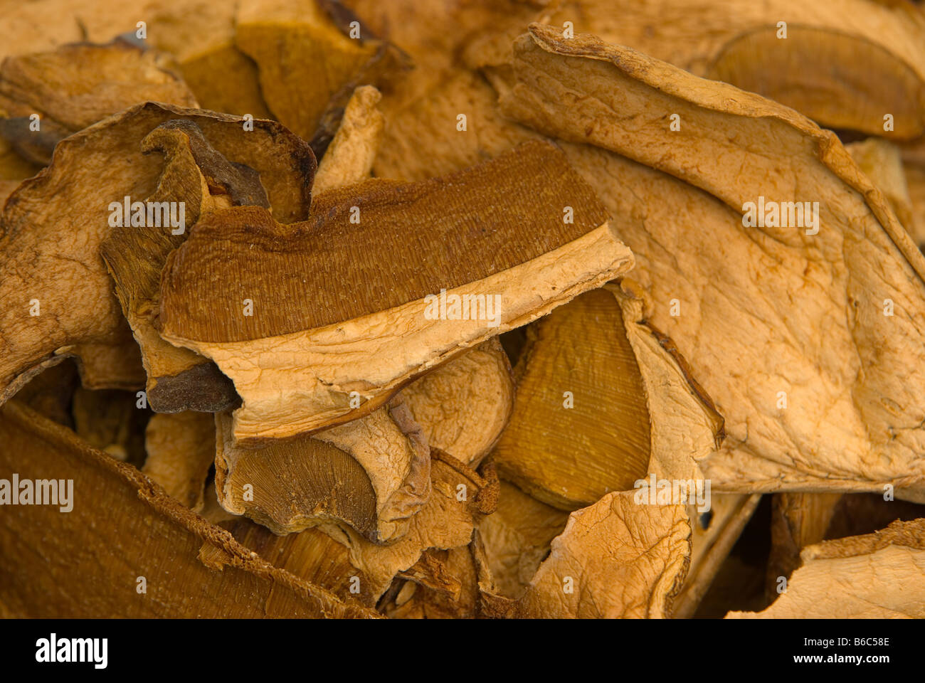 Dried porcini mushrooms Stock Photo Alamy