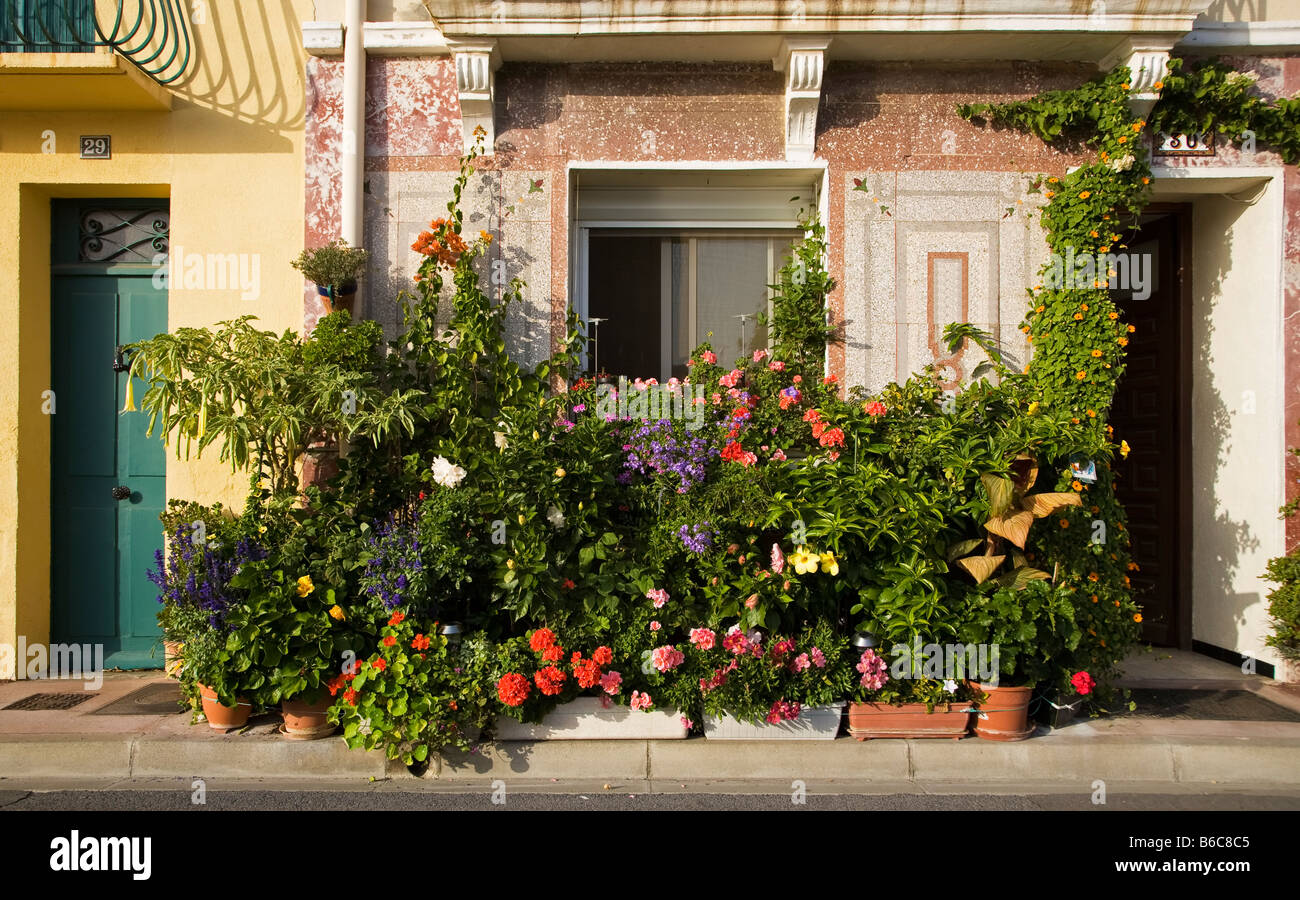 House Container Garden, Port Vendres, Pyrennees-Orientales, France Stock Photo