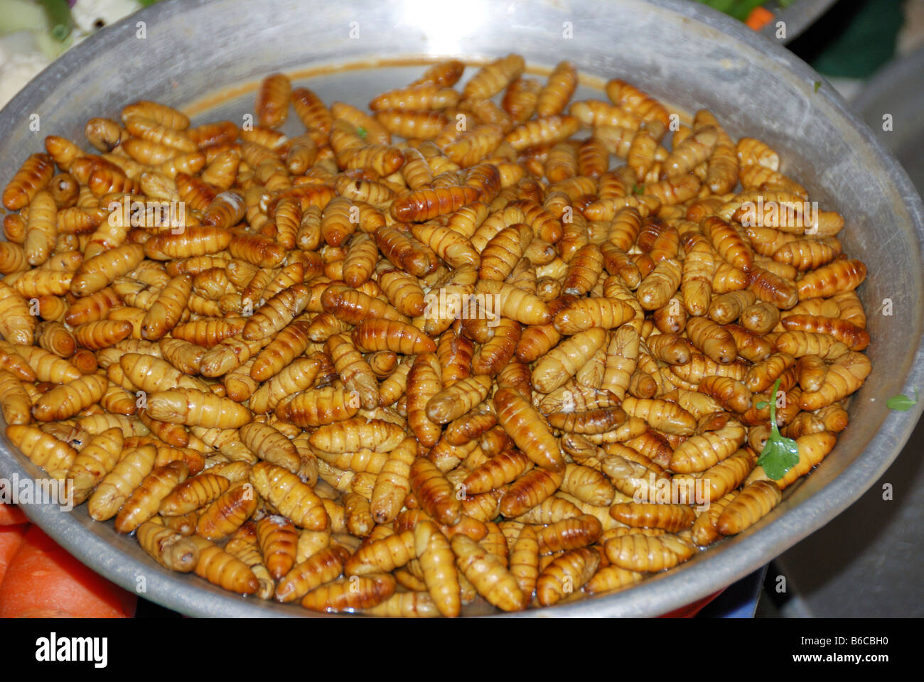 Fried lavae in a wok,Northern Vietnam Stock Photo