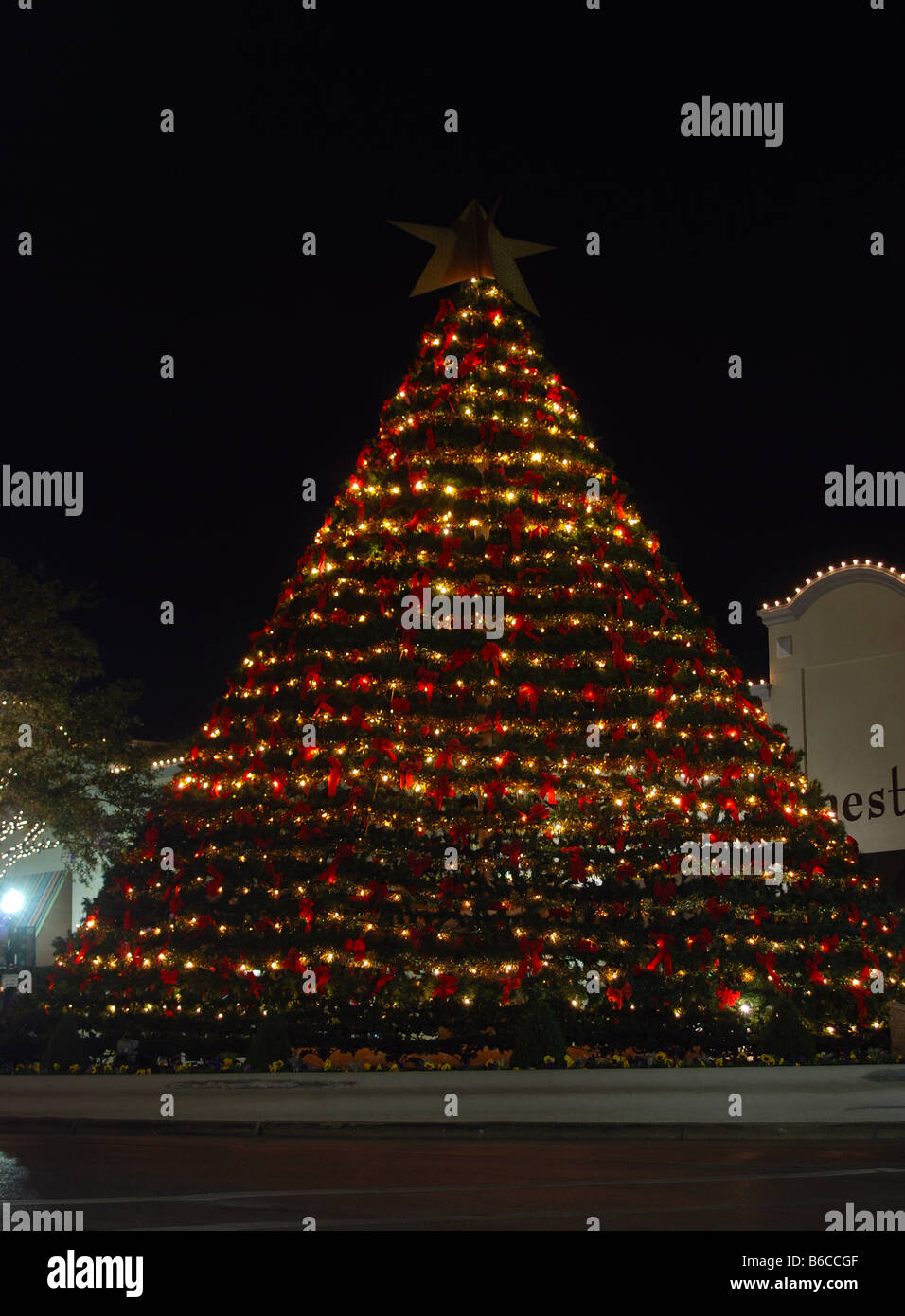 Large Christmas Tree in an Outdoor Mall Stock Photo
