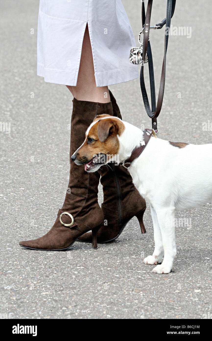 Low section view of woman walking with dog on street Stock Photo - Alamy