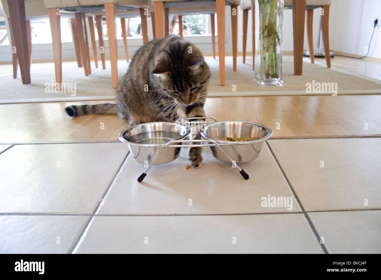 Patterned bowls hi res stock photography and images Alamy