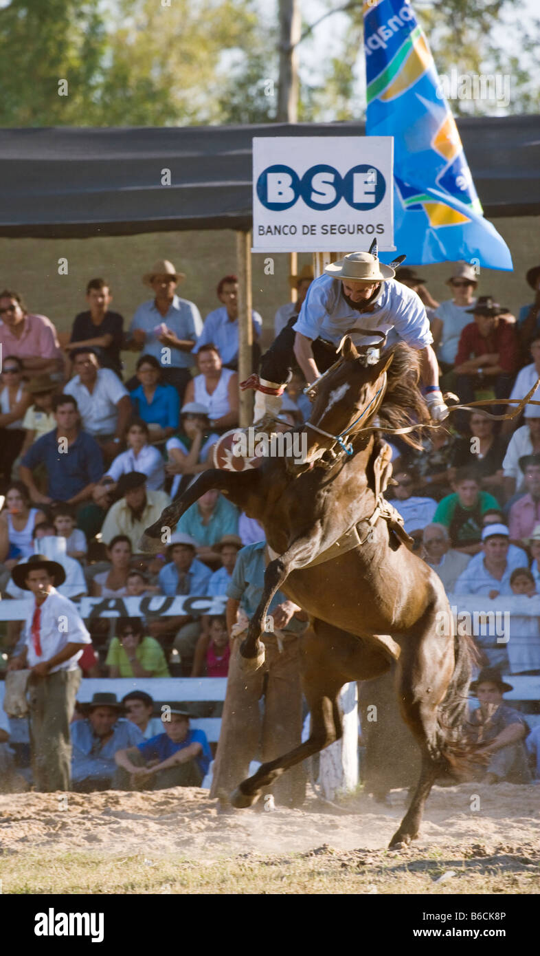 rodeo horse Uruguay fiesta gaucho cow-boy cowboy Stock Photo - Alamy