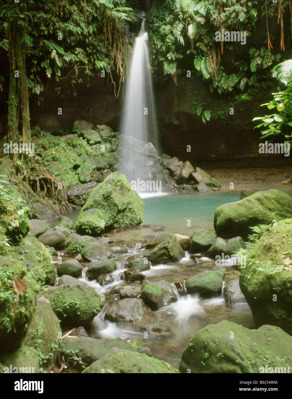 Dominica Emerald pool Stock Photo - Alamy