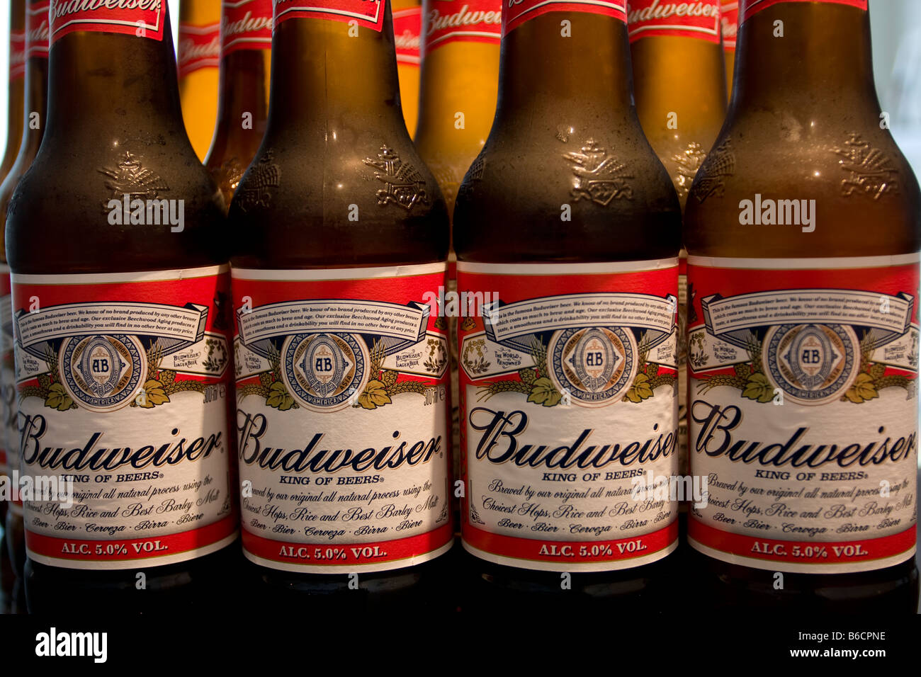 Budweiser Stock