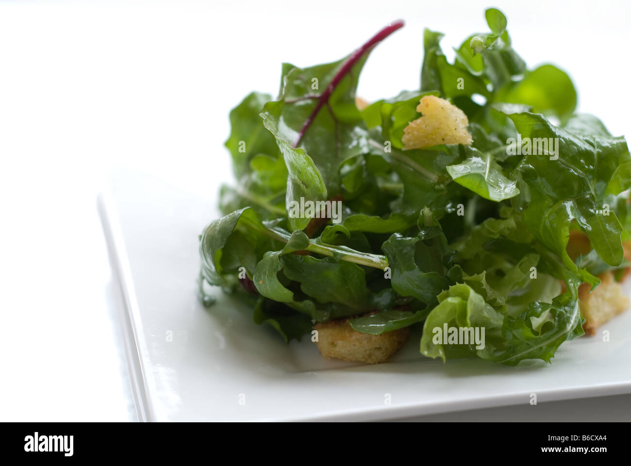 Green Crouton Salad presented high key on a square white plate Stock Photo
