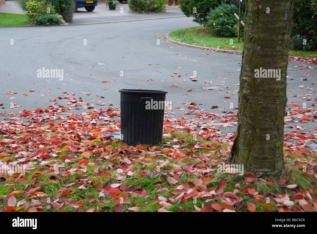 A refuse dustbin sat among fallen autumn leaves Stock Photo