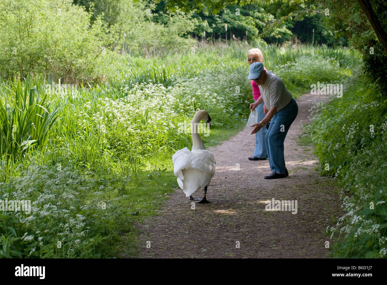 Wendover canal hi-res stock photography and images - Alamy