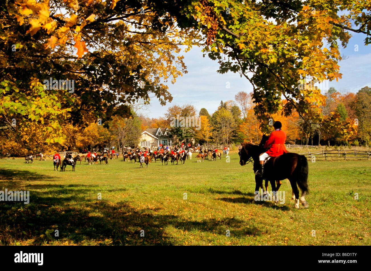 Start of Fox Hunt in Southern Ontario Stock Photo Alamy