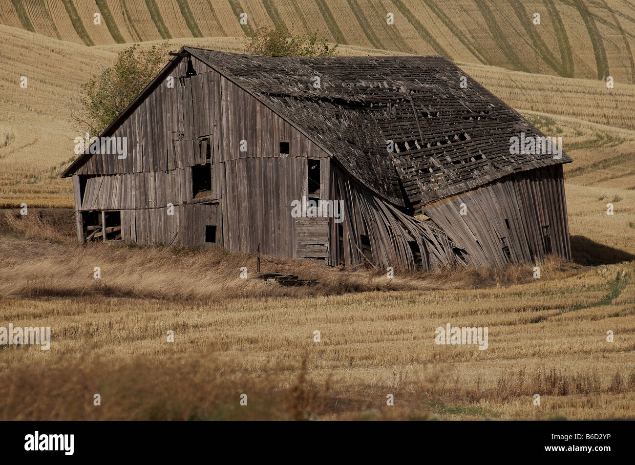 Leaning barn in Washington State, America Stock Photo Alamy