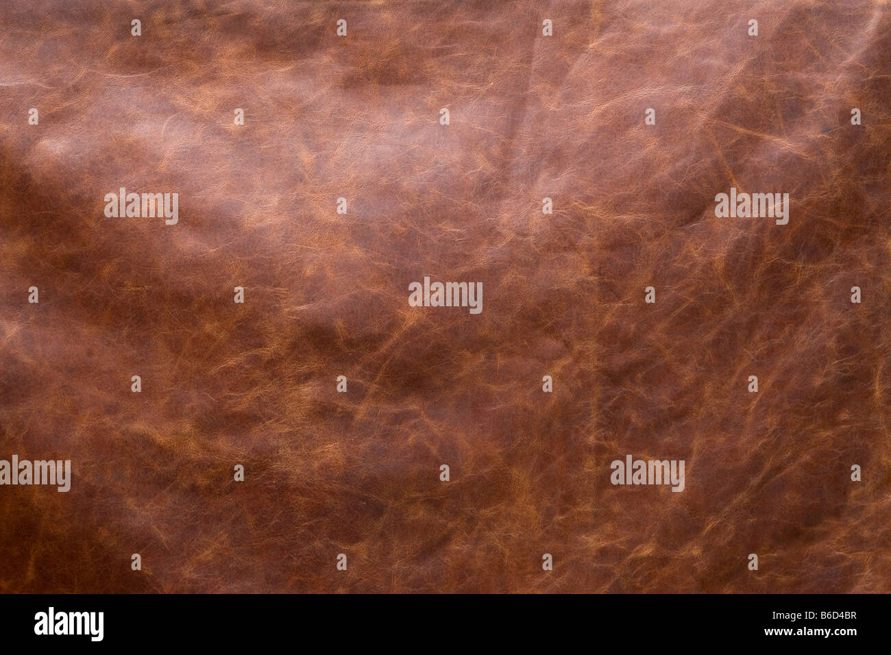 Tanned Leather Full Cowhide Stock Photo 21187147 Alamy
