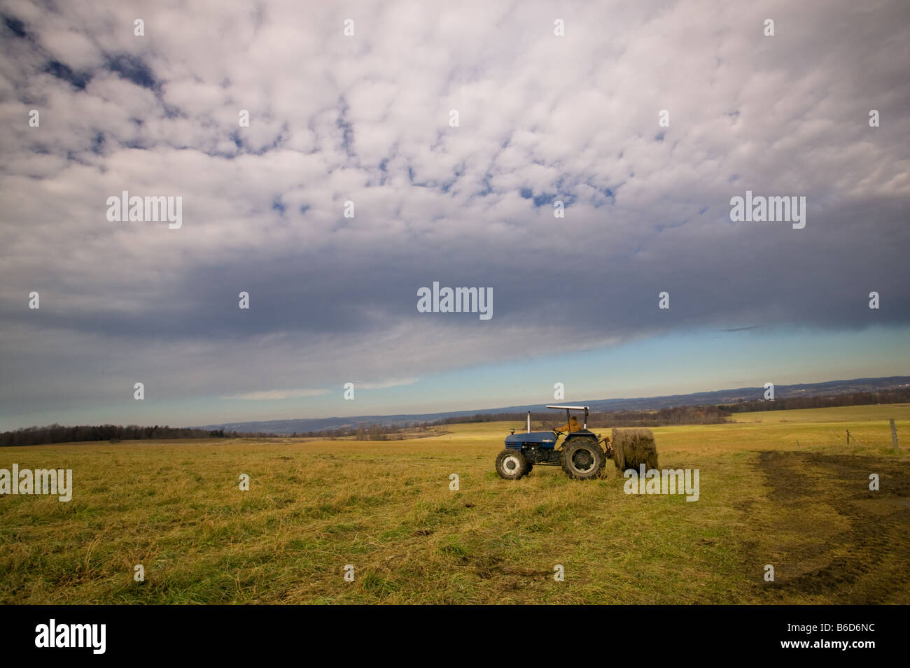 Woman operating a tractor baling hay on a farm in New York State in November Stock Photo