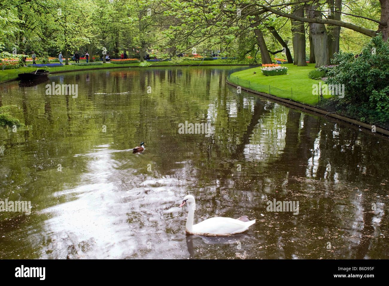 Garden view of colorfull Keukenhof tulip flower park in the Netherlands ...