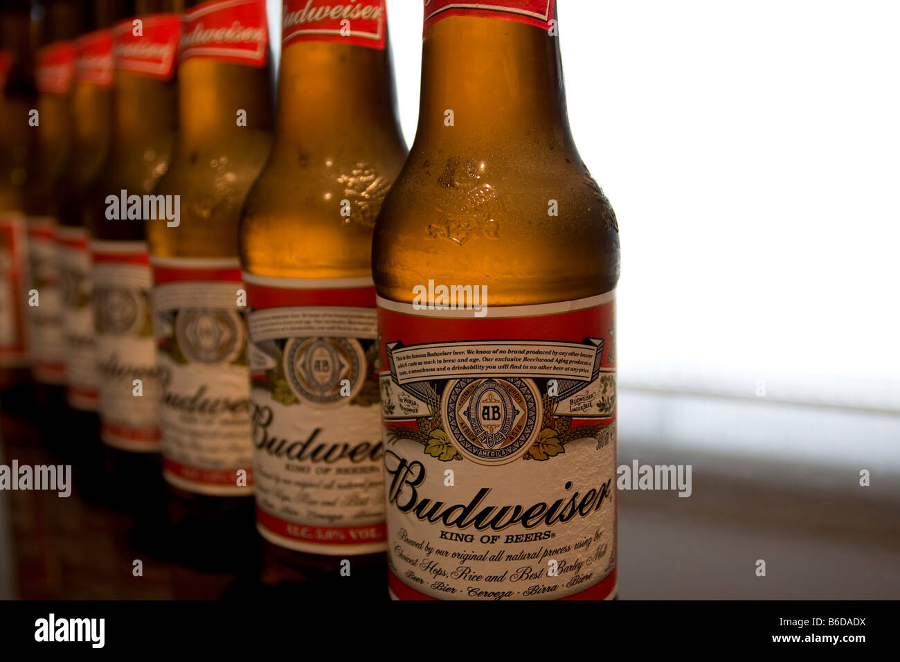 Cold Beer, Budweiser Stock Photo Alamy