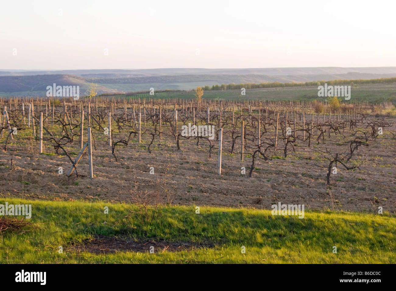 Winery in Moldova Stock Photo Alamy