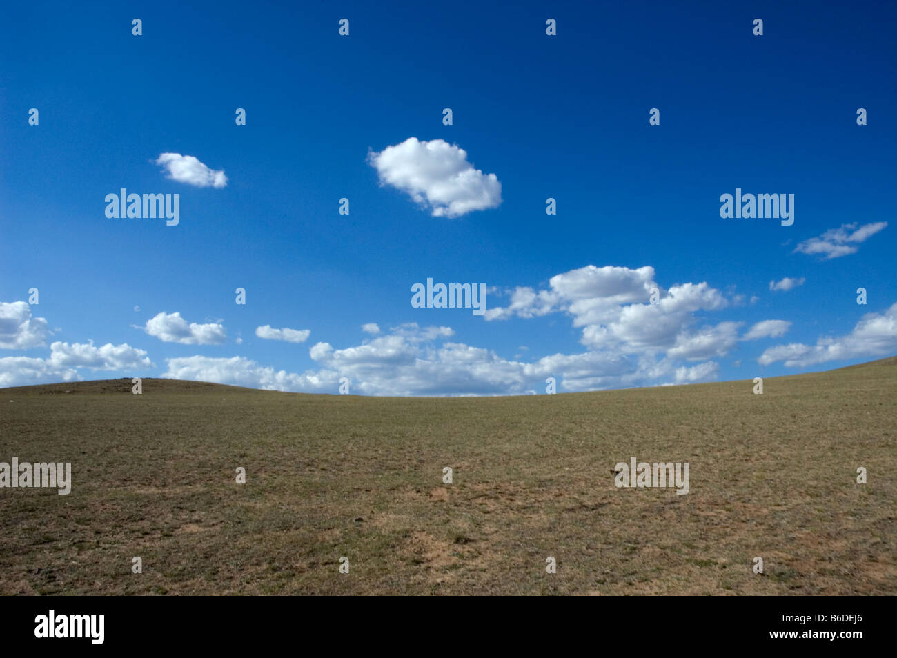 Mongolia Life on the Steppes 2007 Stock Photo - Alamy