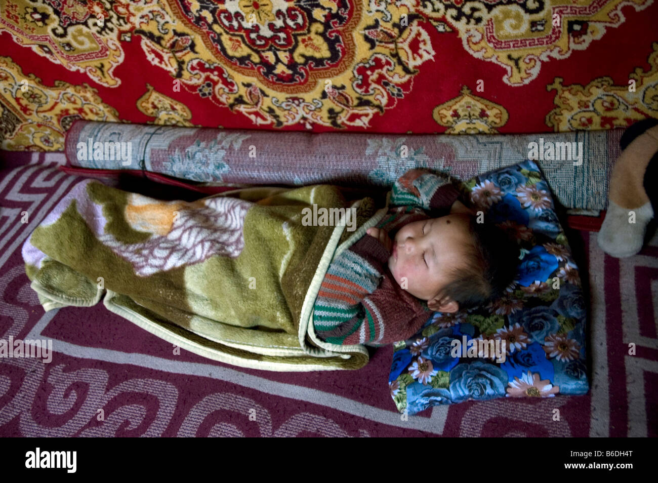 Mongolia Life inside a nomad ger on the Steppes 2007 Stock Photo - Alamy