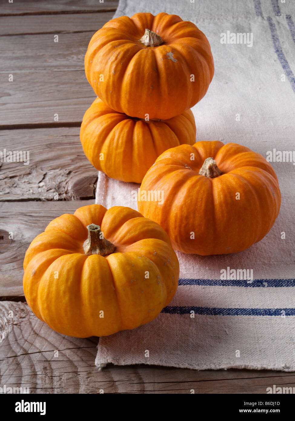Mini pumpkins ingredients editorial food Stock Photo Alamy