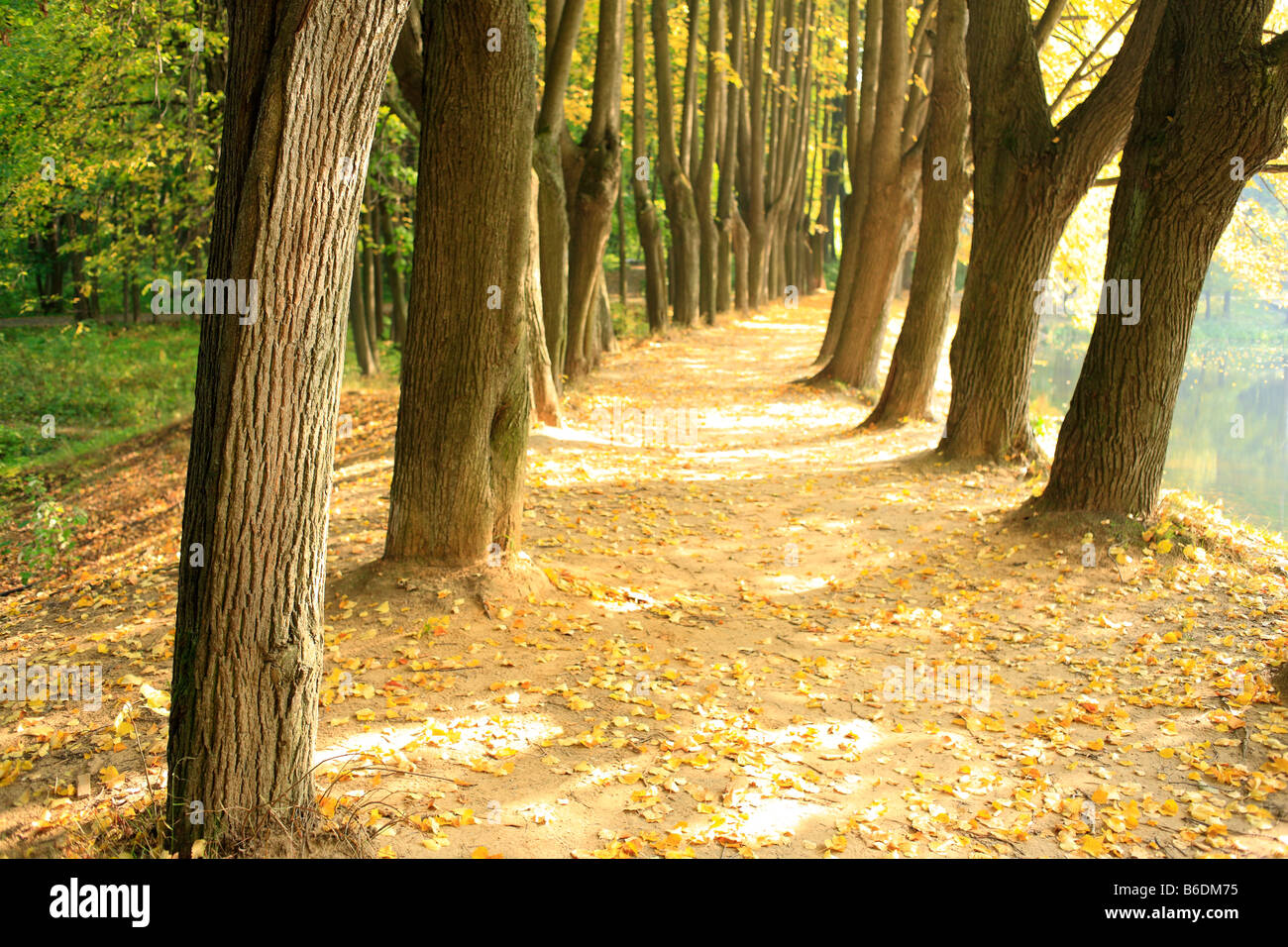 Uzkoe park, Moscow, Russia Stock Photo