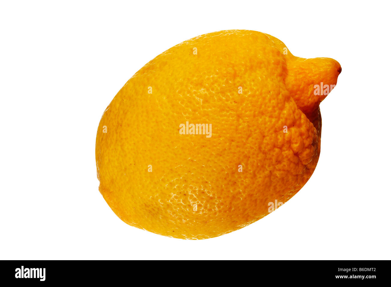 Detail of the lemon isolated Stock Photo Alamy