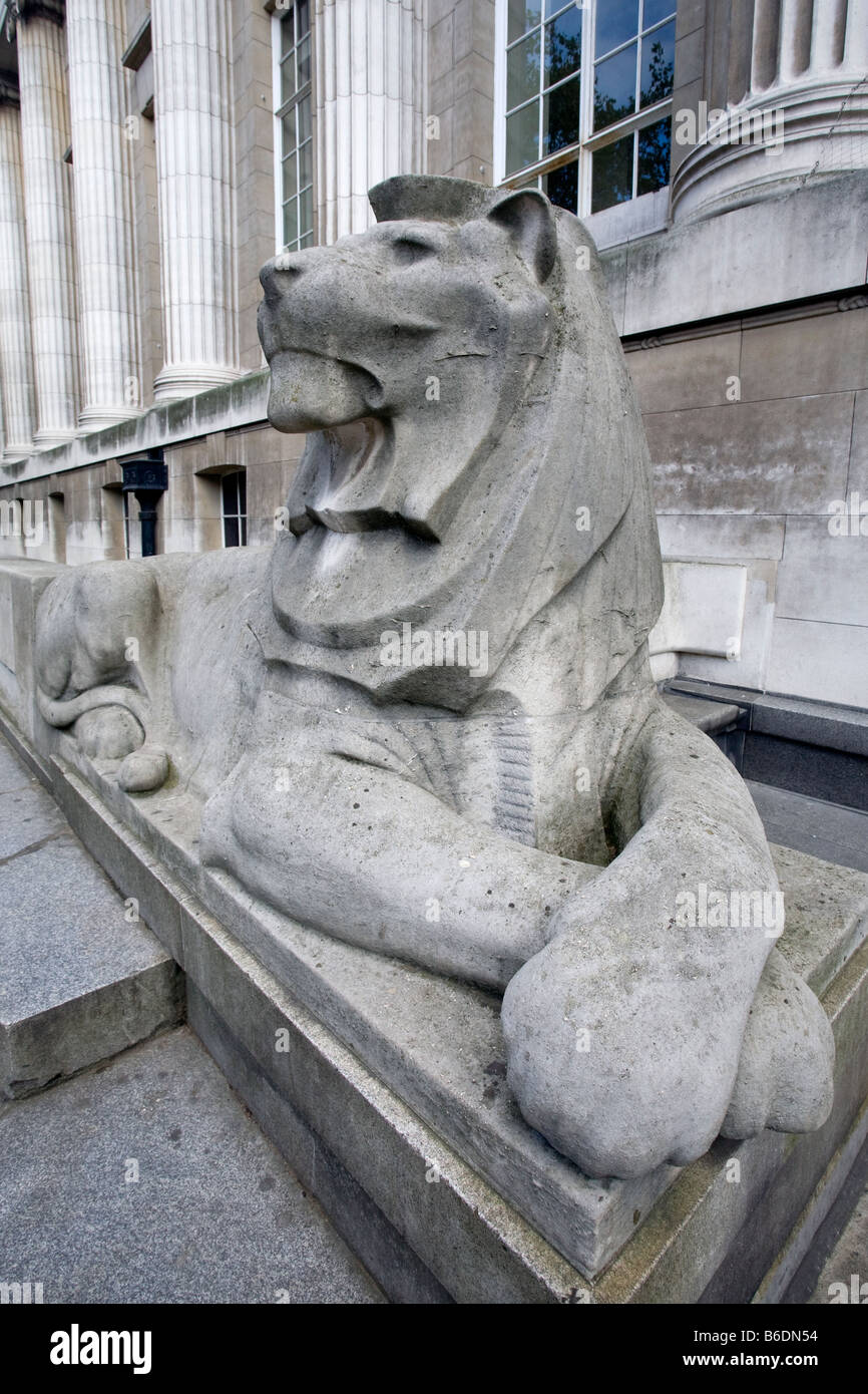 Lion statue outside the British Museum. Bloomsbury, London, England, UK