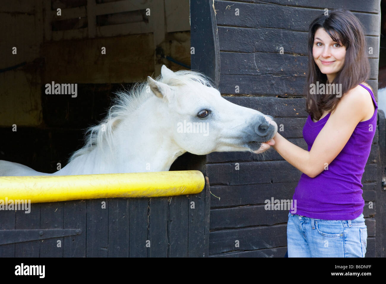A young woman with a white horse Stock Photo