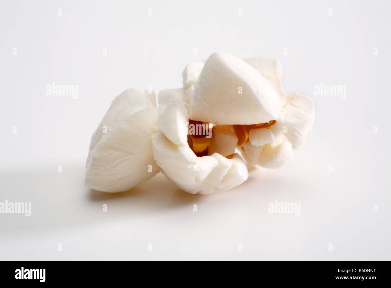Popped popcorn kernel close up Stock Photo Alamy